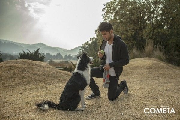 Cometa, él, su perro y su mundo te animará a adoptar animales | Tiempo