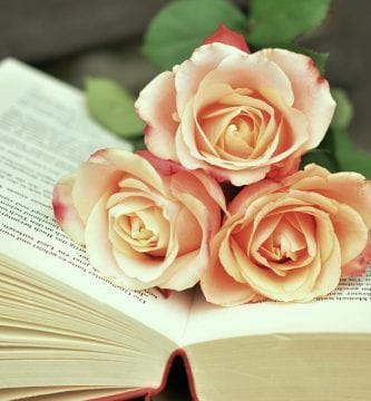 libros para leer