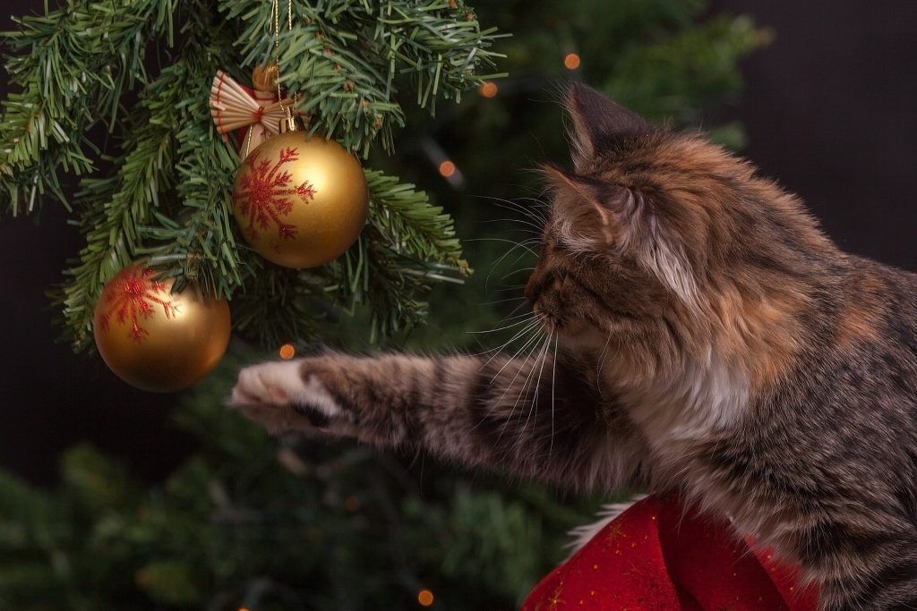 gatos árbol de navidad