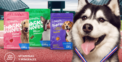 snacks mascotas