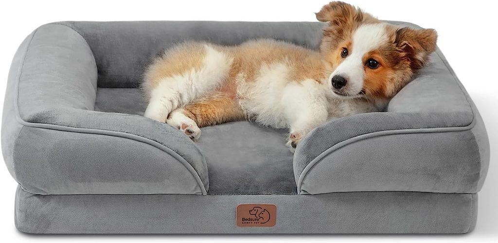cama ideal para tu mascota