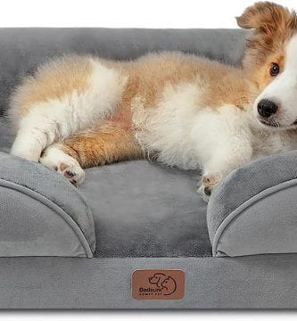 cama ideal para tu mascota