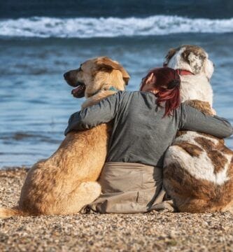 perros