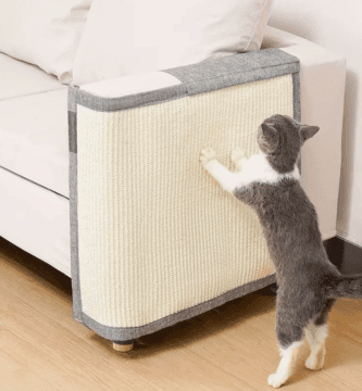 gatos y muebles