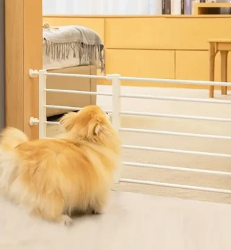 seguridad para mascotas