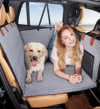 viajar con tu mascota