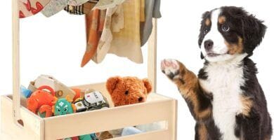 armarios para mascotas