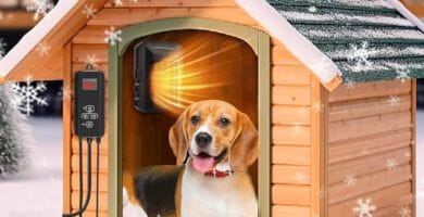 calefactor para mascotas