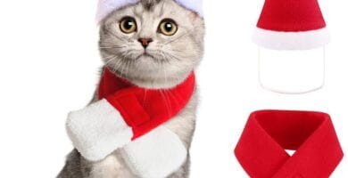 navidad pet friendly