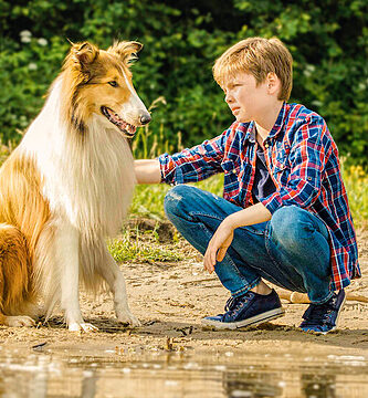 perros famosos de tv