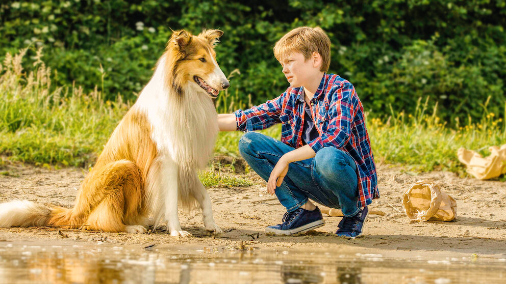 perros famosos de tv